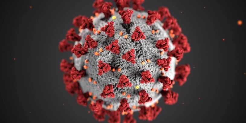 Photo of the COVID-19 virus. 