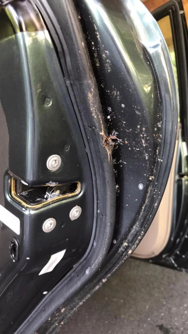 Tint Plug Car Window Tinting Hagerstown, Maryland