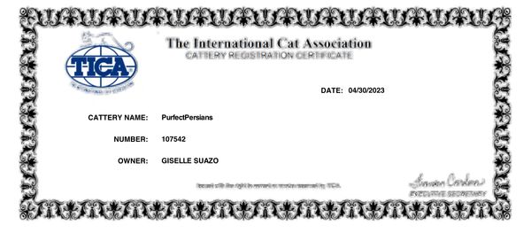 We are a TICA registered Cattery.  All of our cats are CFA and TICA registered 
