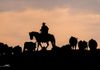 Cattlemans Sunrise   Sierra Nevada Range Of Mariposa Ca