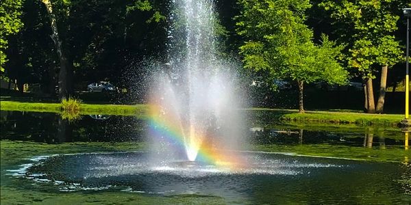 lake fountain maintenance