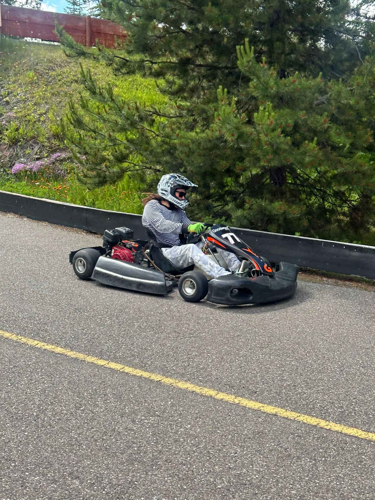 Raceway funpark photo 6