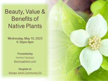 Gardening Classes: Beauty, Value & Benefits of Native Plants by Ivonne Vazquez in Bangor, Maine
