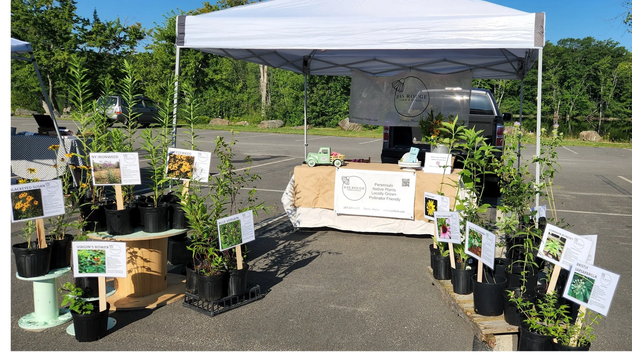 Bas Rouge Farm & Forge at the Orono Farmers Market 2022.
