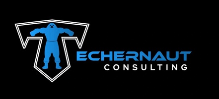 Techernaut Consulting