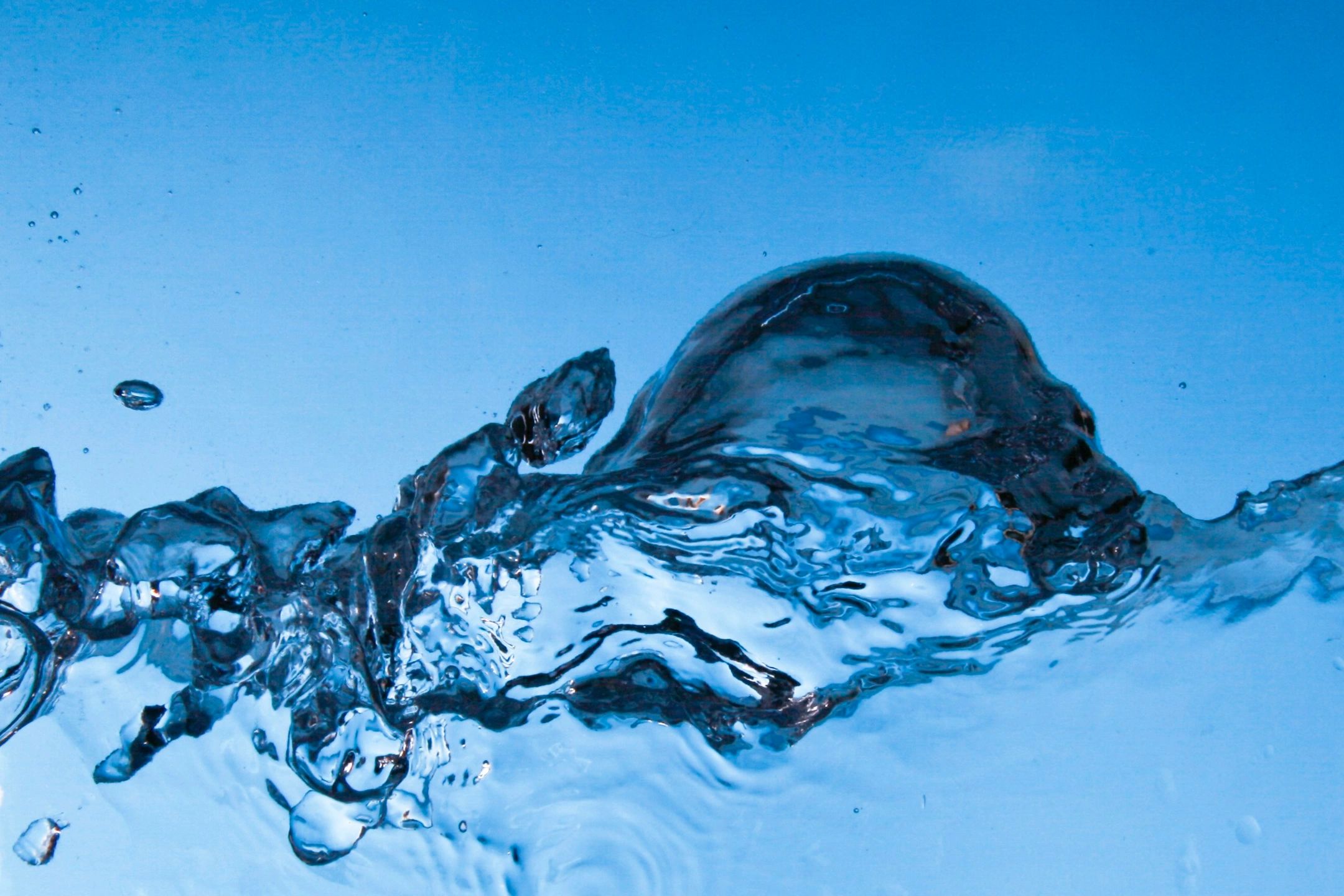 Backflow Diagnostics, Inc.