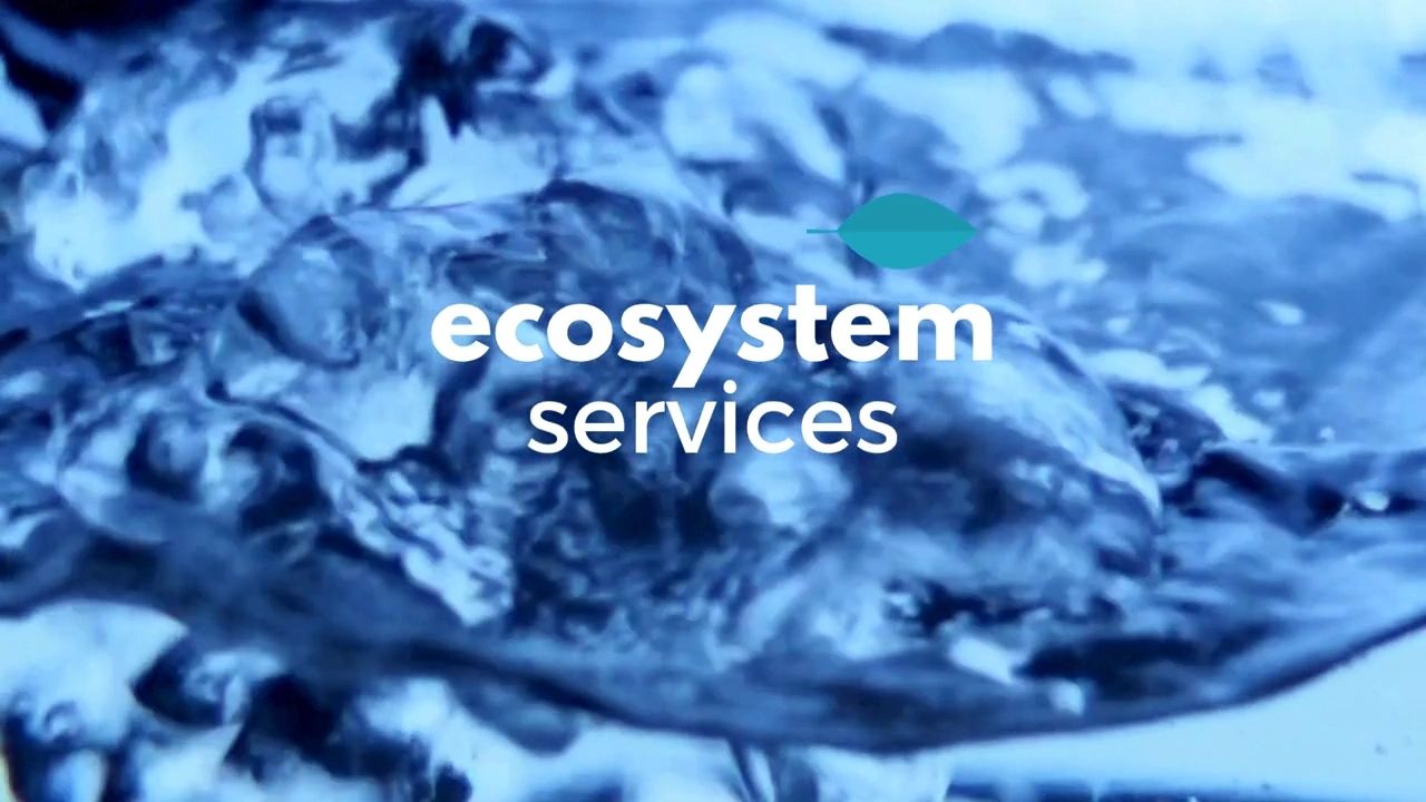 https://img1.wsimg.com/isteam/ip/7bbd25f8-f631-46af-b28b-004e0e9cdb98/thumbnails/thumbnail-a2dd9b9c-c496-4dbf-9057-cf504b3eff24.png