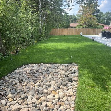 A backyard with green grass, a rock patch, and a wooden fence.