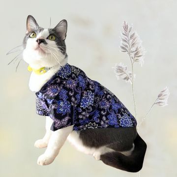 Blue Bloom