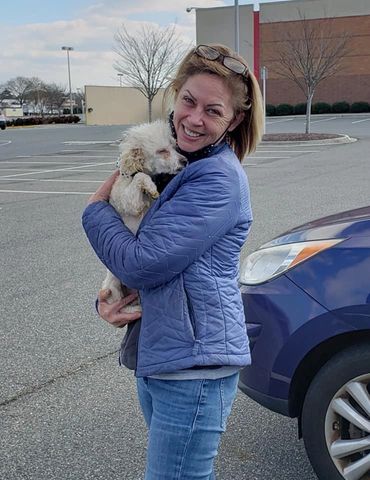 Rescue Poodles Virginia 