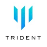 Trident Partners Inc.