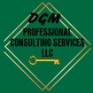       DGM Professional Consulting Services