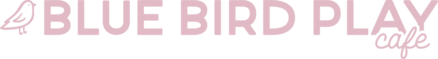 Blue Bird Play Cafe