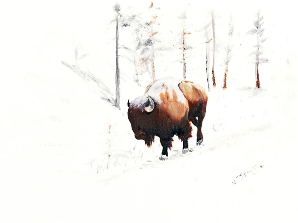 A bison standing in a snowy, sparse forest landscape.