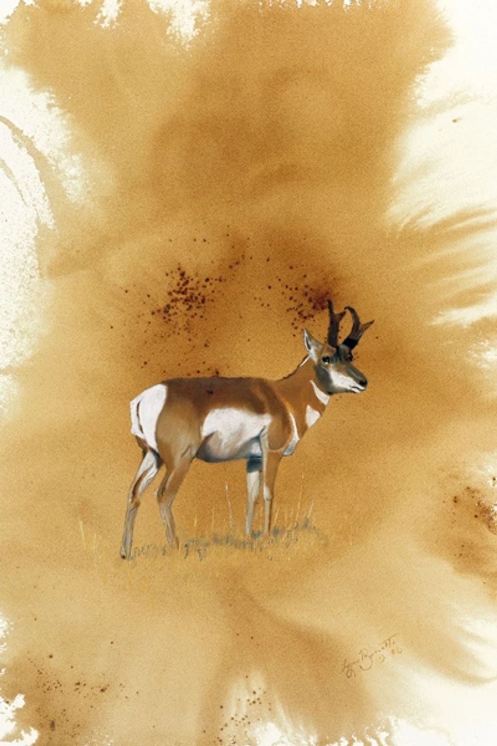 A pronghorn antelope stands against a textured, warm-toned background.