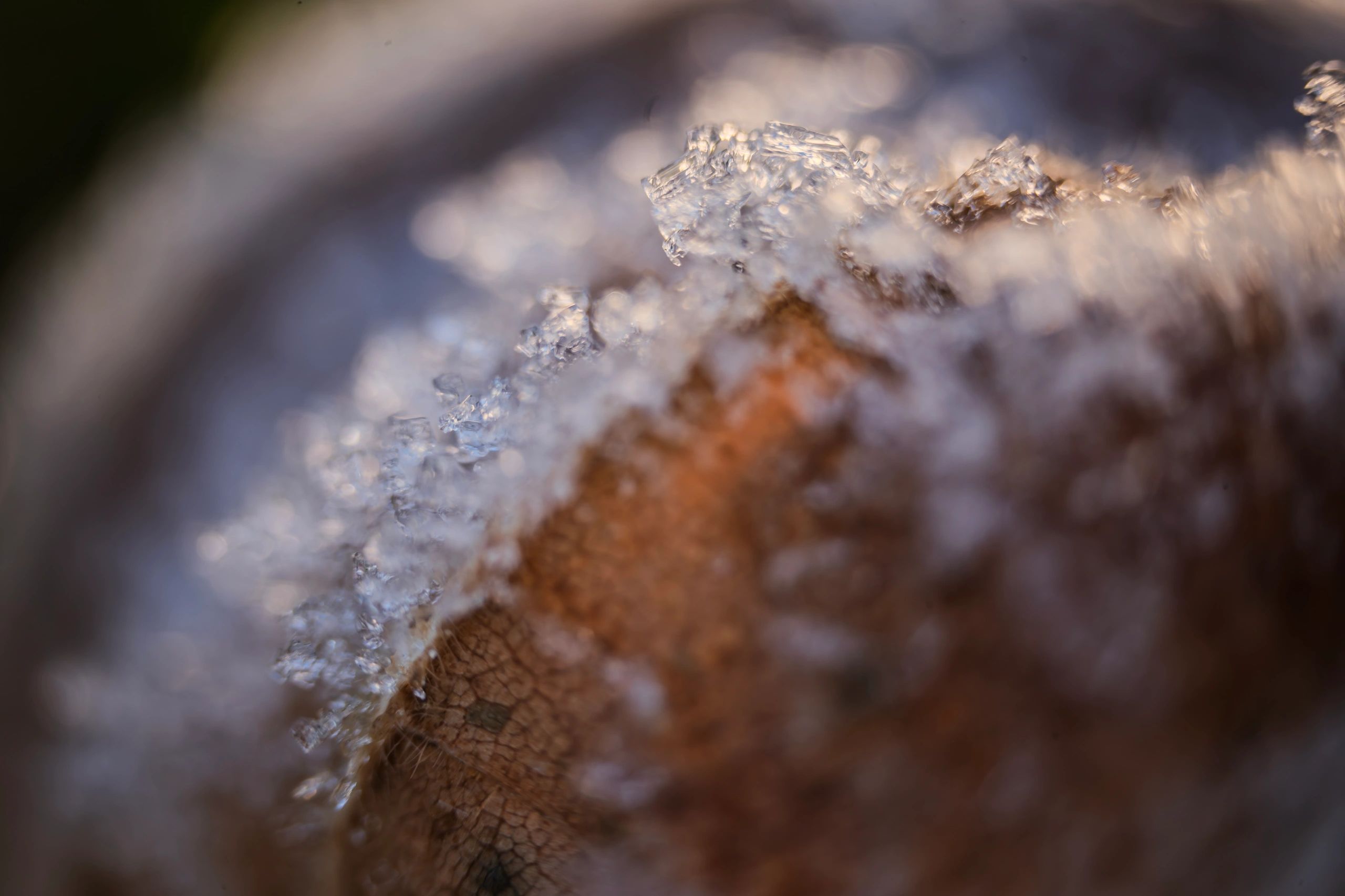 Close-up of ice crystals on a textured brown surface.
