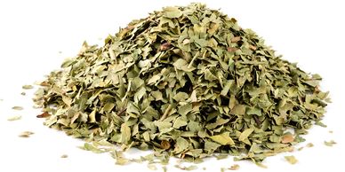 Wholesale Australian native Anise myrtle and Aniseed myrtle herb or spice from native food grower.
