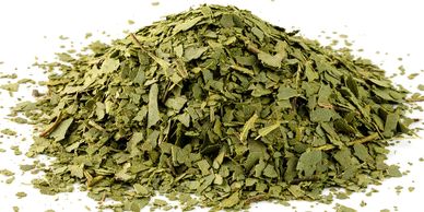 Wholesale Australian native peppermint gum tea leaf grown by a native food farmer for native flavour