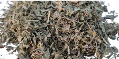 Wholesale Australian native Jilungin tea leaf to help you sleep. Terminalia canescens.