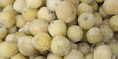 Buy wholesale frozen lemon aspen