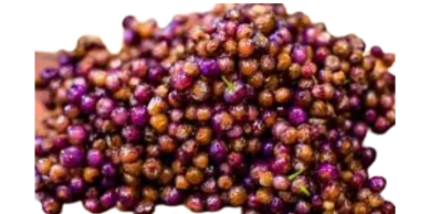 Wholesale Australian native Juniper and Boobialla for gin distillery flavour. Myoporum insulare