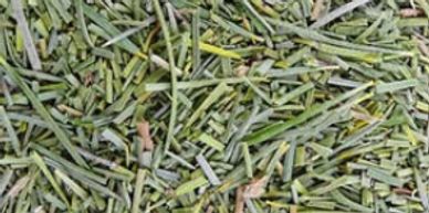 Wholesale Australian native Honey myrtle tea leaf, herb or distillery botanical.