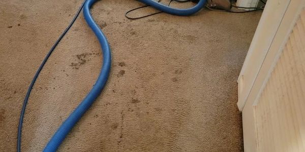 Carpet cleaning machine in use on a stained carpet.