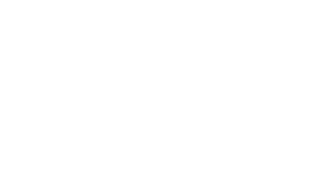 BEX Consulting, LLC