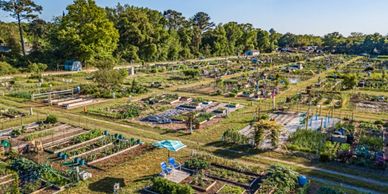 Seabrook Farm is located within Hilton Head Plantation