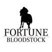 Fortune Bloodstock