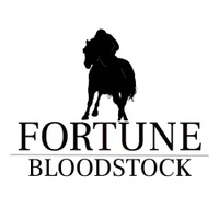 Fortune Bloodstock