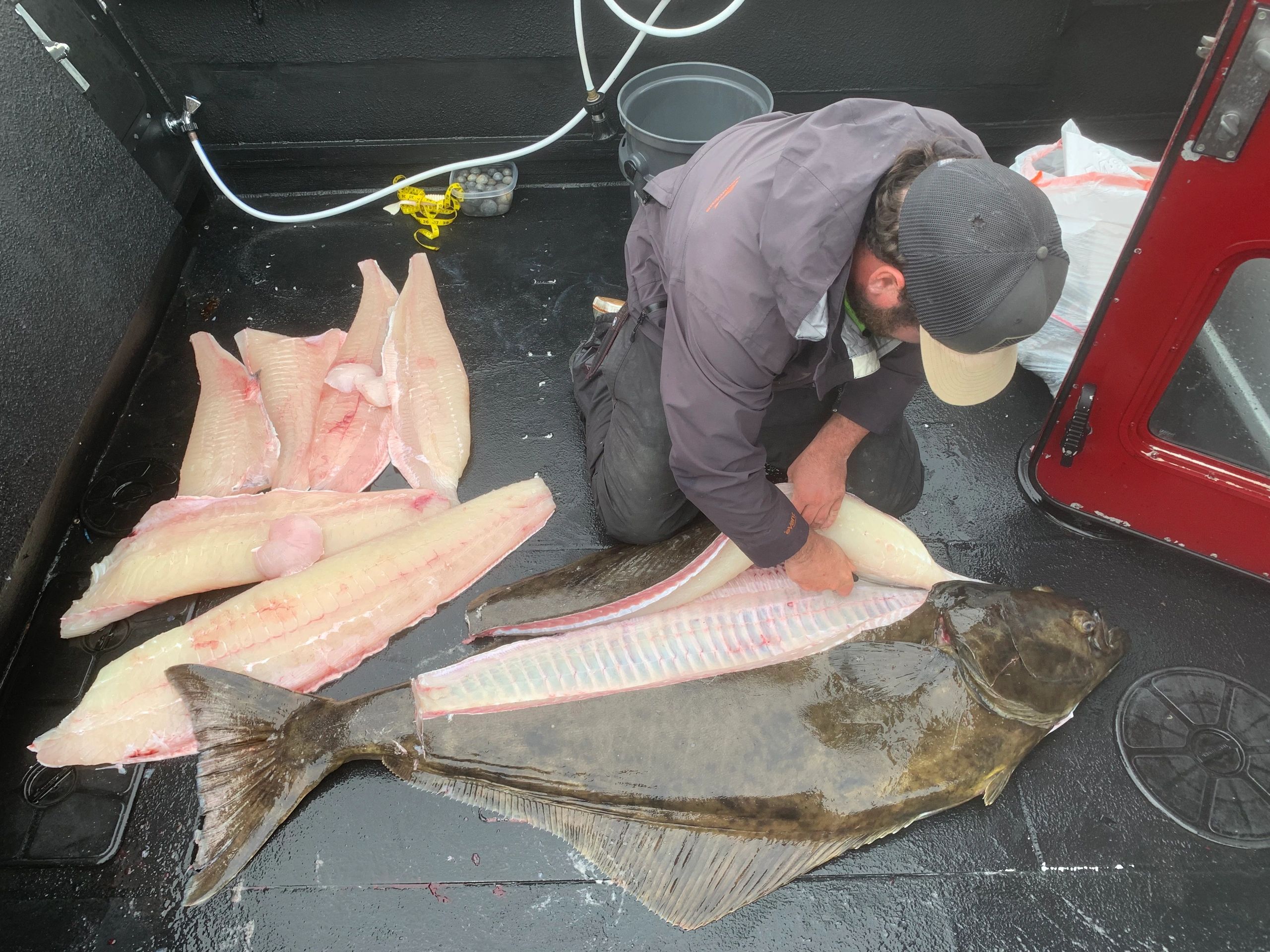 Homer Fishing Adventures — photo 3