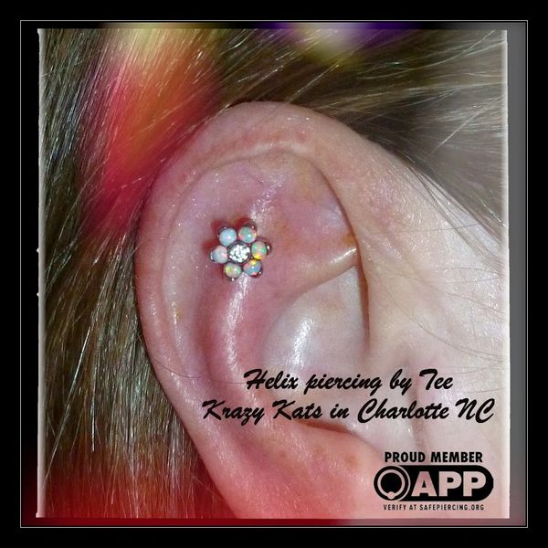 Helix Piercing Details: Down To The Nitty Gritty – Piercing Ya Body Jewelry