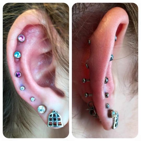 An Introduction To: Cartilage Piercings - Rogue Piercing