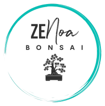 ZeNoa
Bonsai