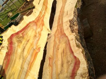 split burl
