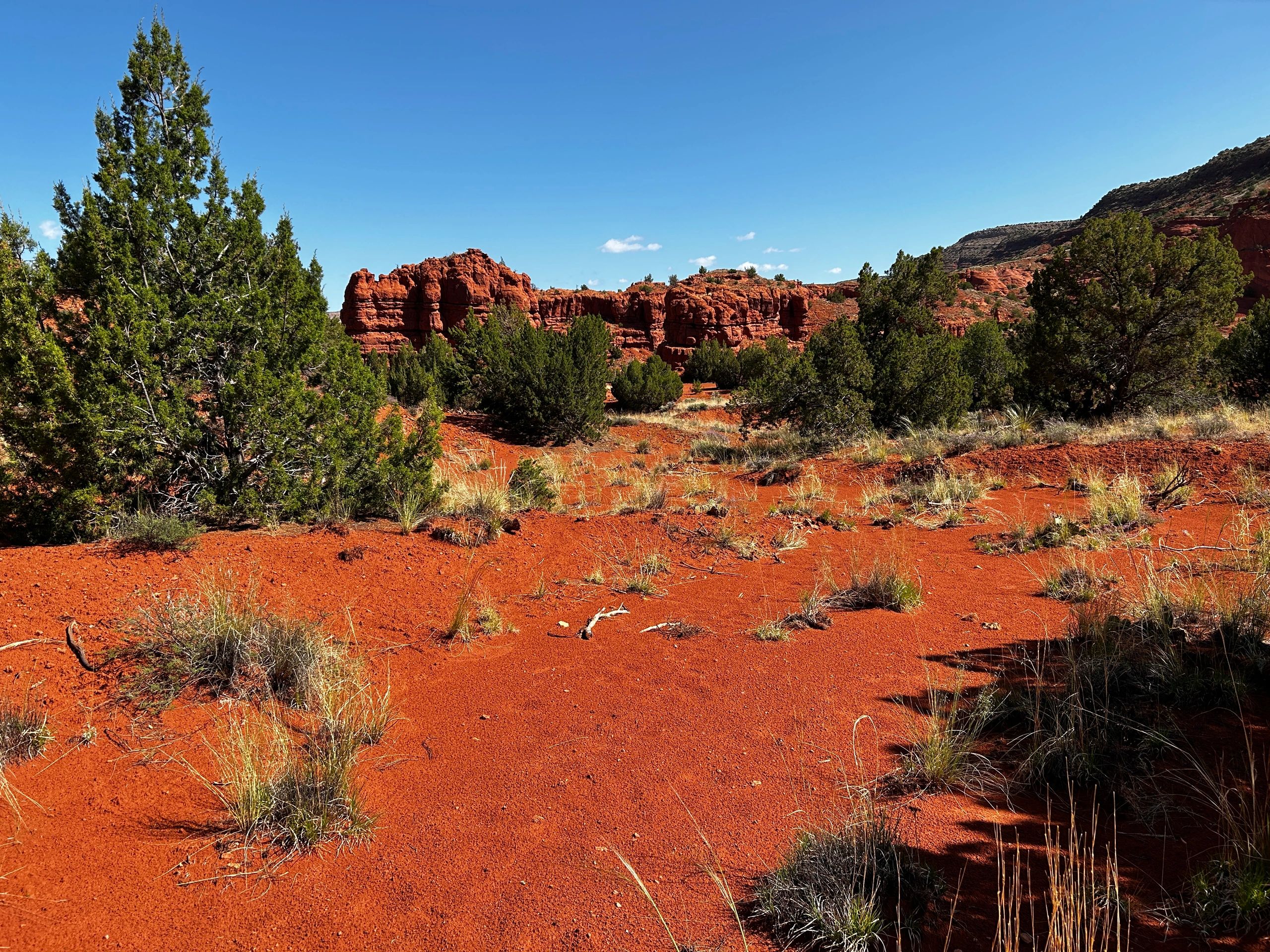 Representative overview image of Canyon, Sage and Sky