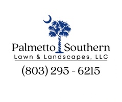 Palmetto-southern.com