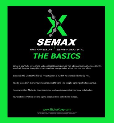 SEMAX: Synthetic neuropeptide enhancing brain function and protection.