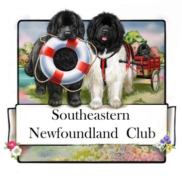 Southeast Regional Newfoundland Club