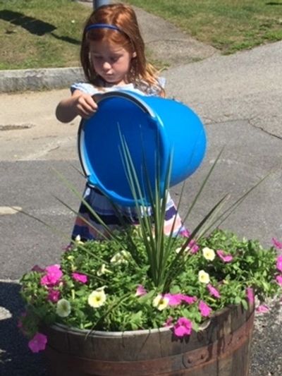 Meredith NH garden helper
