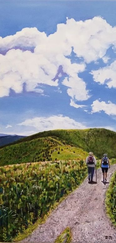 Two hikers along the Appalachian Trail at Roan Mountain, Tennessee.