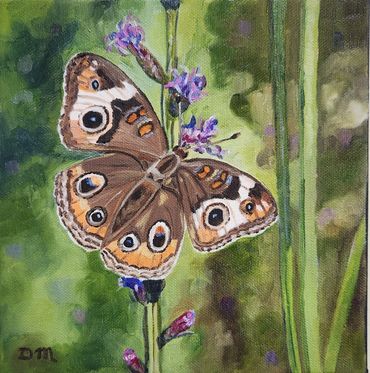 Oil painting of a Common Buckeye butterfly.