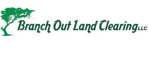 Branch Out Land Clearing