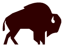 TX Buffalo Construction