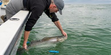 Man releasing a large fish into the water from a boat.