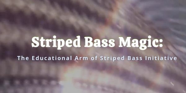Title screen for Striped Bass Magic educational program.