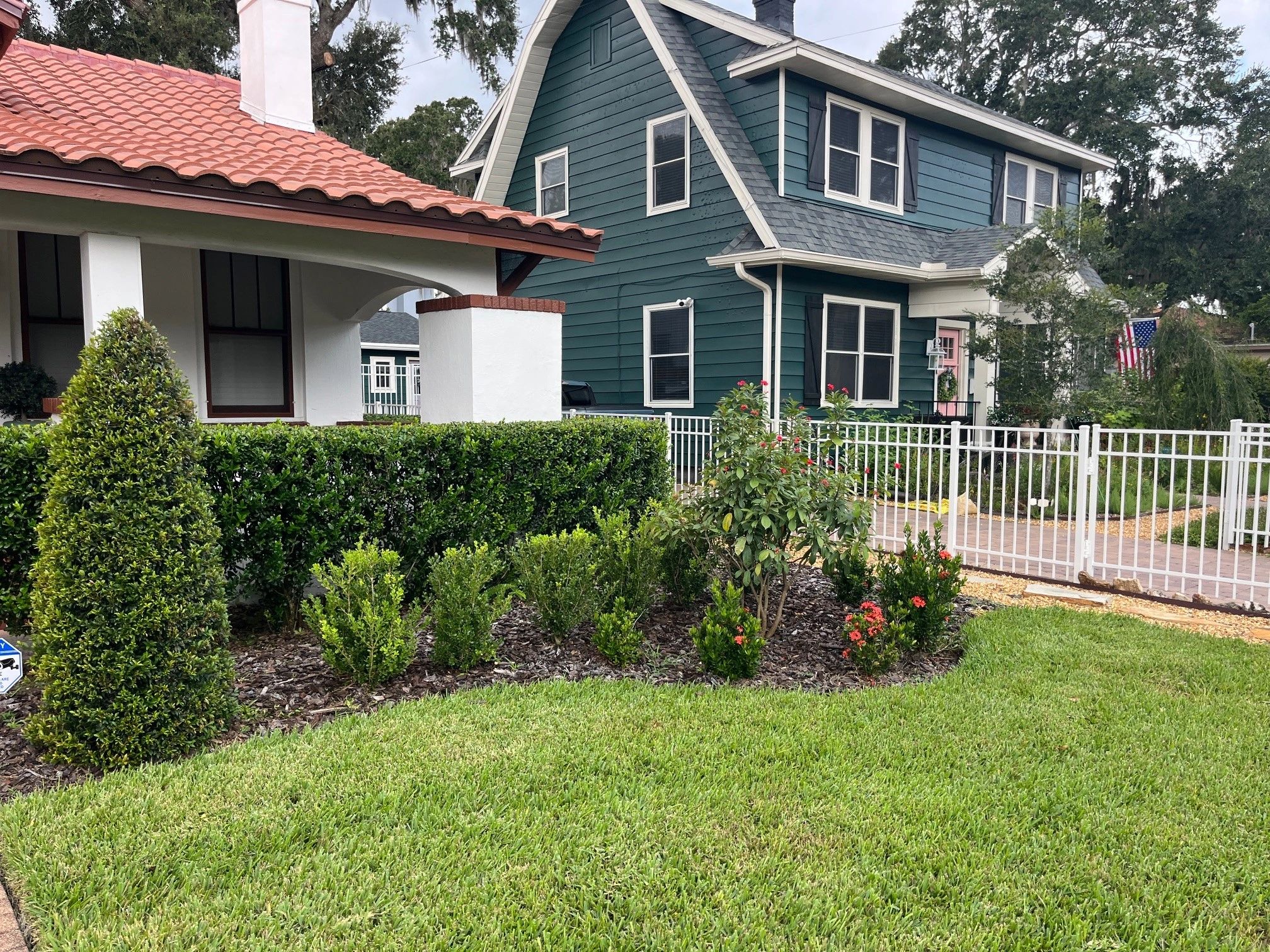 Florida Cold Snap Damage: Why Your Plants Look Dead