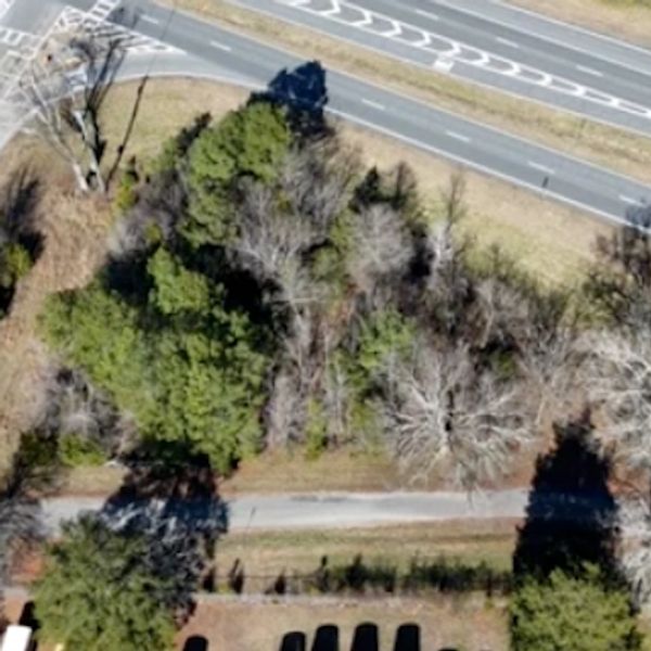Aerial view of road with trees and shadows.