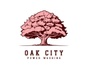 Oak City Power Washing